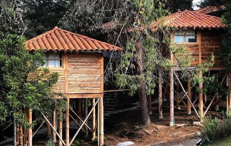 cabañas en santa elena antioquia