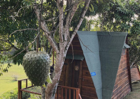 Glamping Natural con Jacuzzi en Barbosa(PV)