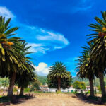 tour boyaca