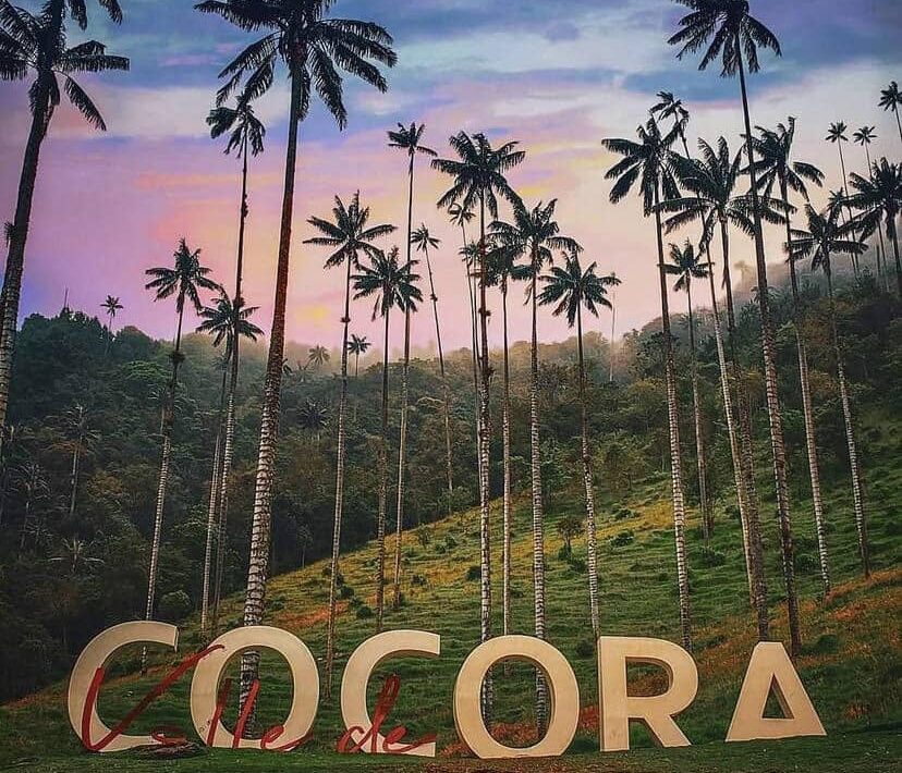 tour eje cafetero desde Medellin